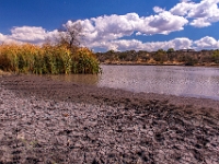 San Miguel de Allende, El Charco del Ingenio Jardín Botánico